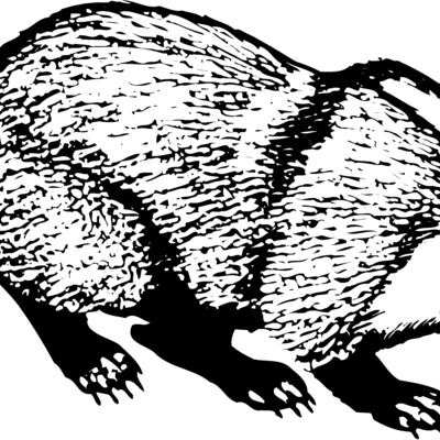 BADGER03 Thumbnail